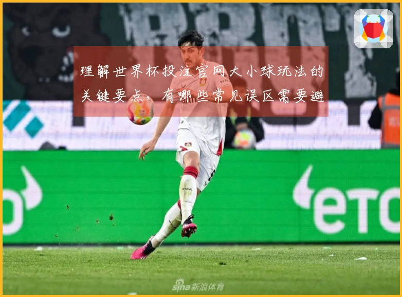 理解世界杯投注官网大小球玩法的关键要点,有哪些常见误区需要避免