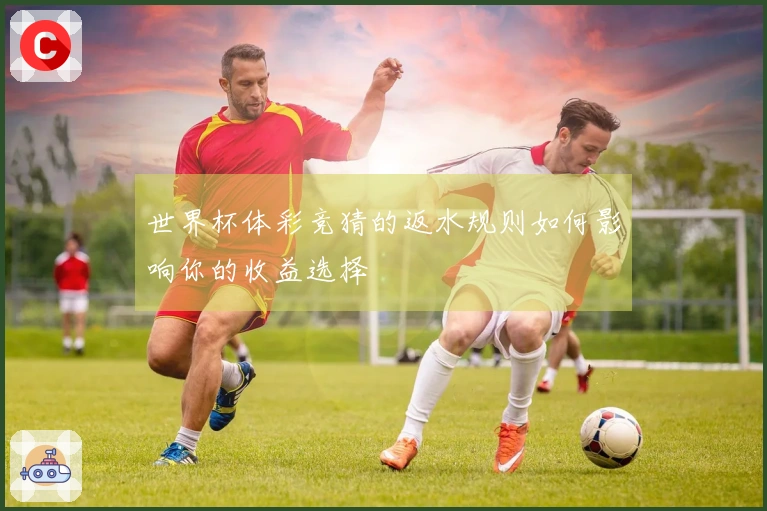 世界杯体彩竞猜的返水规则如何影响你的收益选择