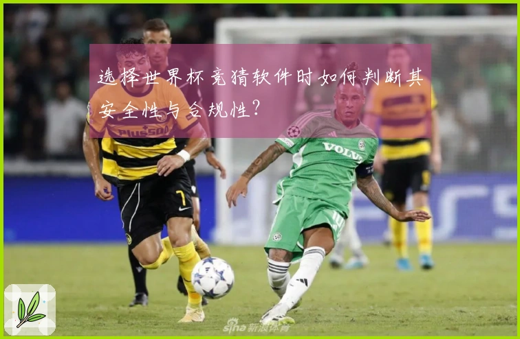 选择世界杯竞猜软件时如何判断其安全性与合规性？