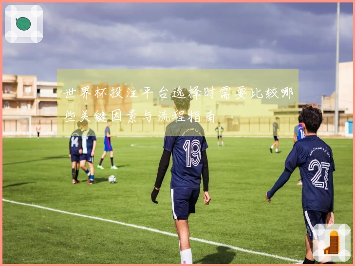 世界杯投注平台选择时需要比较哪些关键因素与流程指南